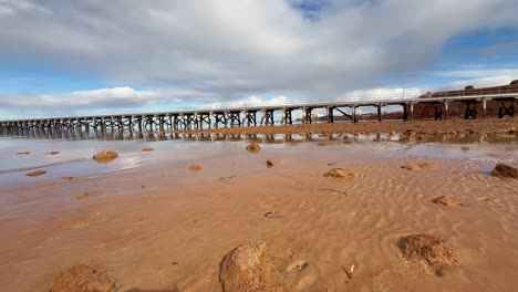 the devastating impact of a harmful algal bloom is evident on this south australian beach, showing dead marine life, including a shark, highlighting environmental damage and climate change effects