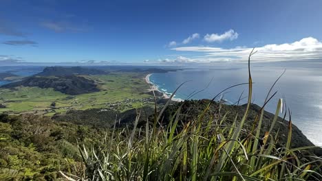 view of lush island coastline with blue sky from top of mountain, new zealand