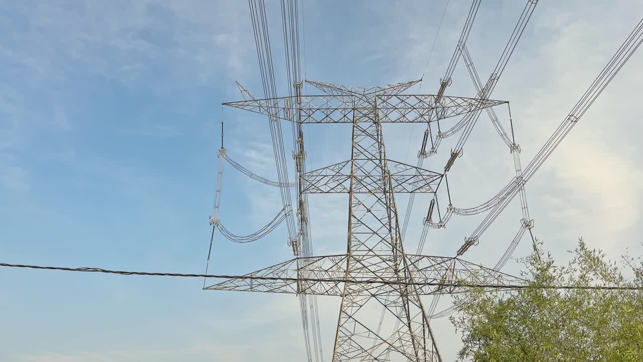 Static view of a high-voltage transmission tower as bamboo foliage sways gently in the foreground, steel lattice and power lines cutting across a clear blue sky daylight