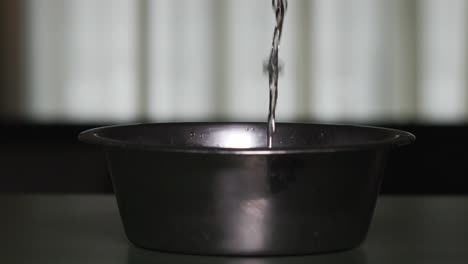 water pouring in pet food bowl