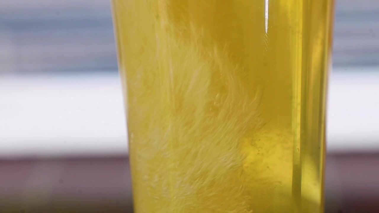 Gros plan vidéo de bulles pétillantes dans de la bière.