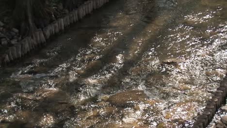 The-river-flows-through-the-stones-in-the-forest