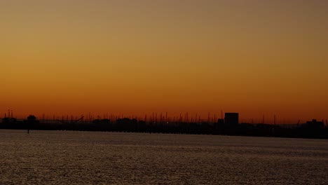 seagull flying over water during sunset