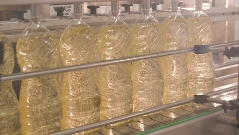 sunflower oil in the bottle moving on production line. bottling line of sunflower oil in bottles. vegetable oil production plant. high technology. industrial background