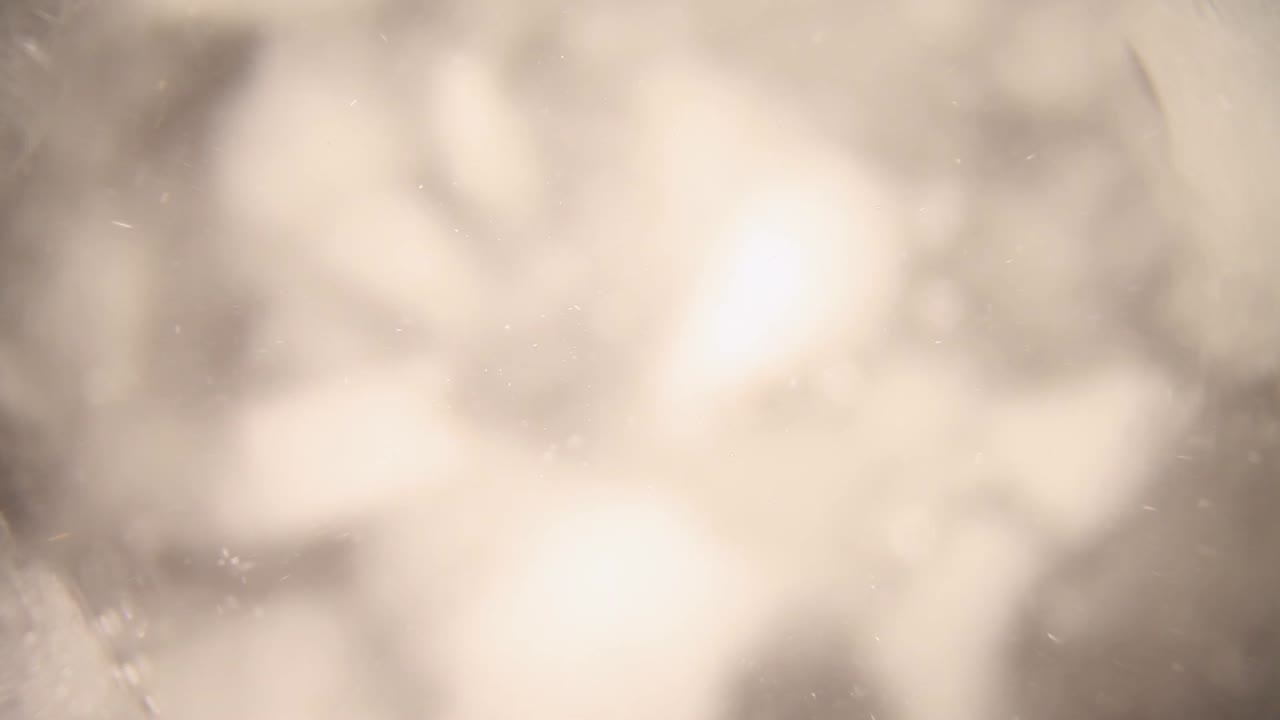 sumergido en una licuadora llena de cubitos de hielo picado - agua, empujando rápidamente hacia el hielo mientras las partículas en el agua flotan alrededor