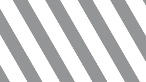 líneas grises sobre un fondo blanco. paleta de colores de moda gráficos de movimiento