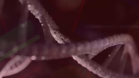 Animation-Eines-Sich-Drehenden-DNA-Strangs-Auf-Dunklem-Hintergrund