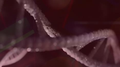 animation of spinning dna strand over dark background