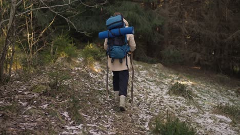 hiker with backpack walking through forest