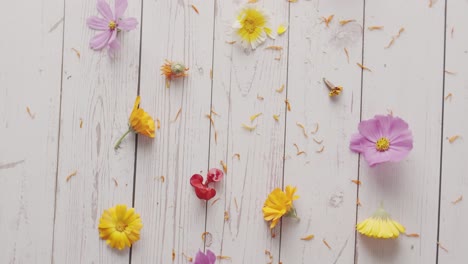 Top-view-of-spring-flowers-on-a-white-wooden-table