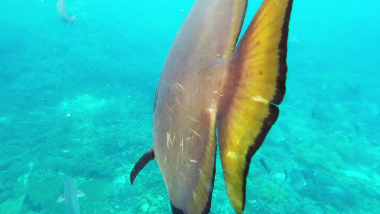 He's a big general in the underworld