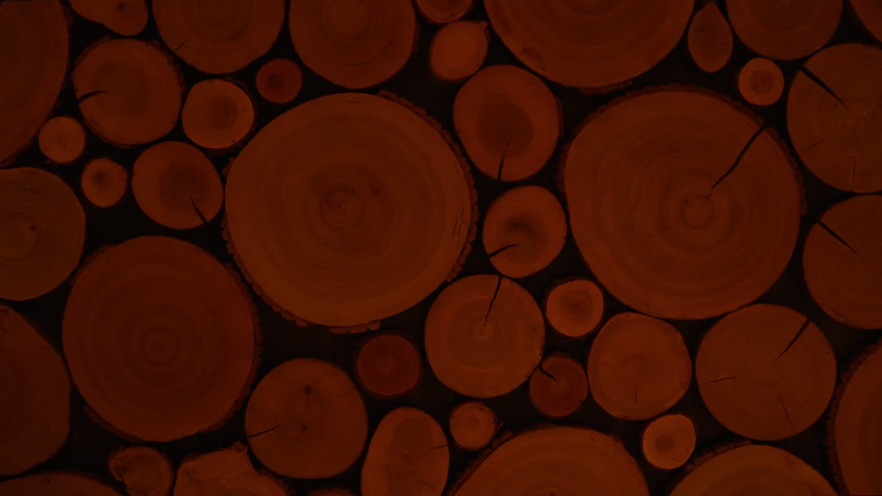 Wooden Log Wall Decor