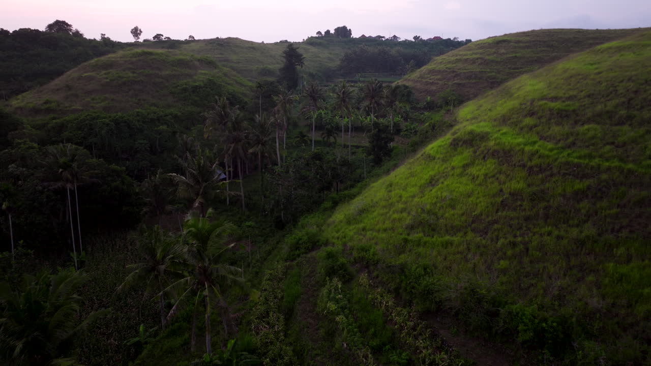 dron volando a través de la colina de teletubbies con palmeras al atardecer