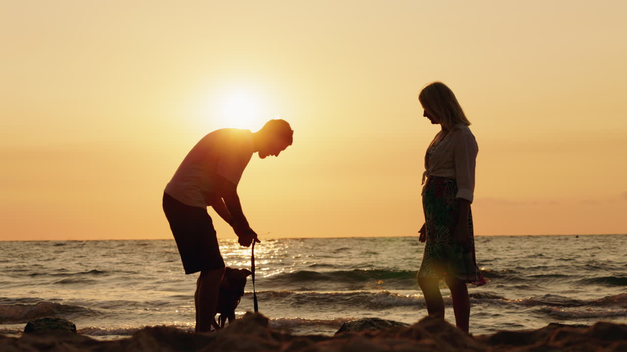A couple and their dog enjoy the sunset on a beach