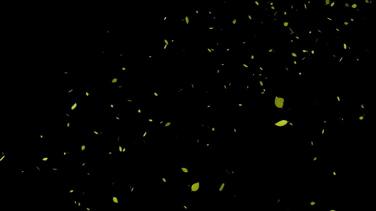 노란 잎, 가을 잎, 떨어지는 입자, 모션 그래픽