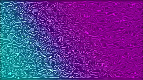 animación de líneas líquidas brillantes de neón de rosa a azul que se mueven sobre un fondo negro