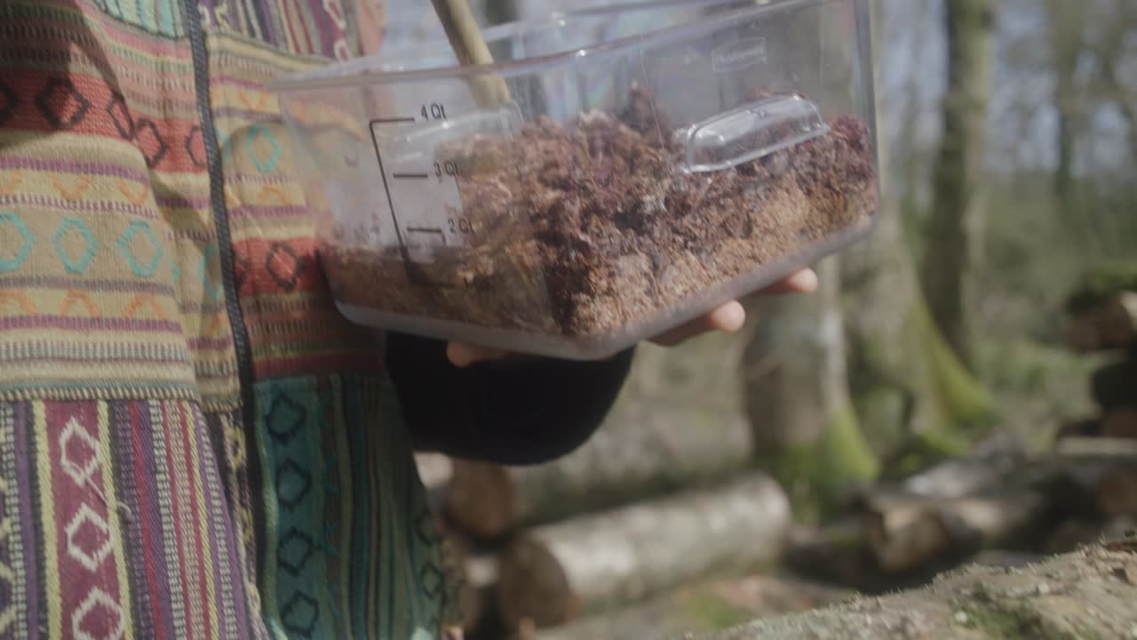 la inoculación de troncos con esporas de hongos