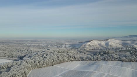 aerial view of vineyard with snow in wintertime in offenburg, germany