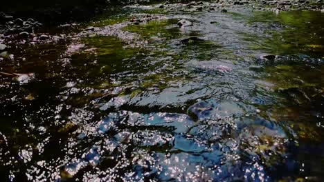 The-peaceful-waters-of-the-Moorman-River-in-Albemarle-County-Virginia-flow-smoothly-down-stream-during-the-autumn,-fall-season