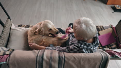 senior woman grooming her golden retriever dog in a swing