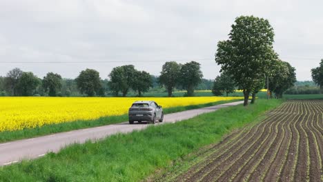 aerial rear tracking follows electric suv drive along yellow rapeseed field