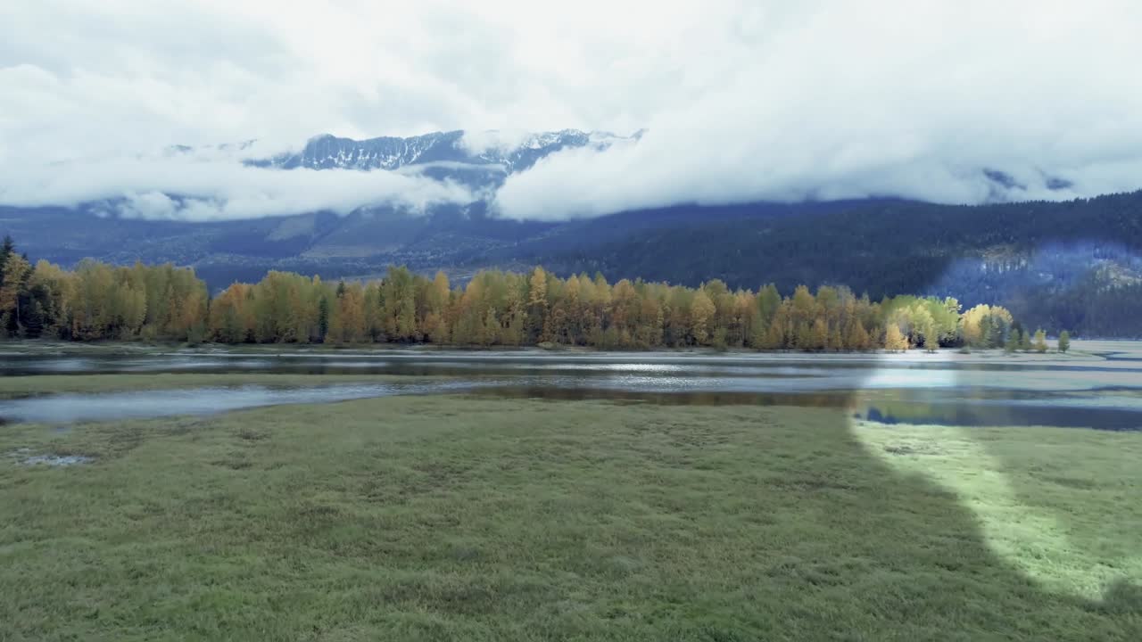 Women Relaxing and Swimming in a Serene Natural Lake Environment