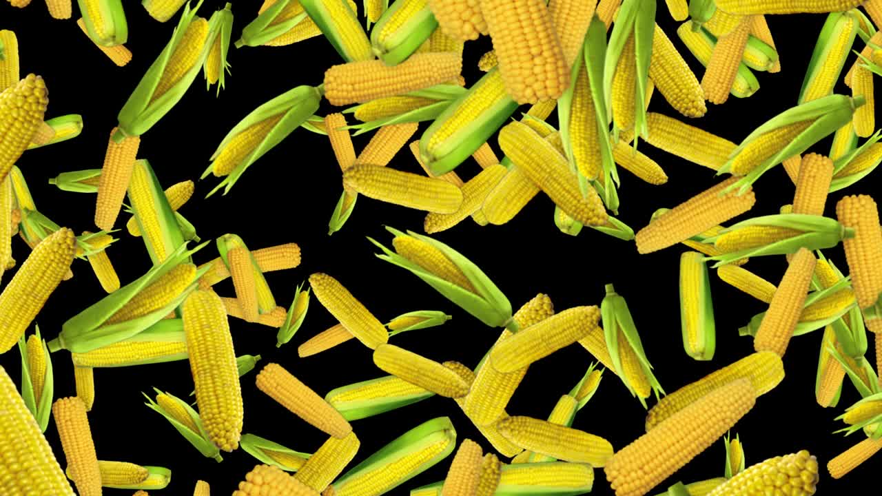 fondo de maíz en caída, con canal alfa, bucle