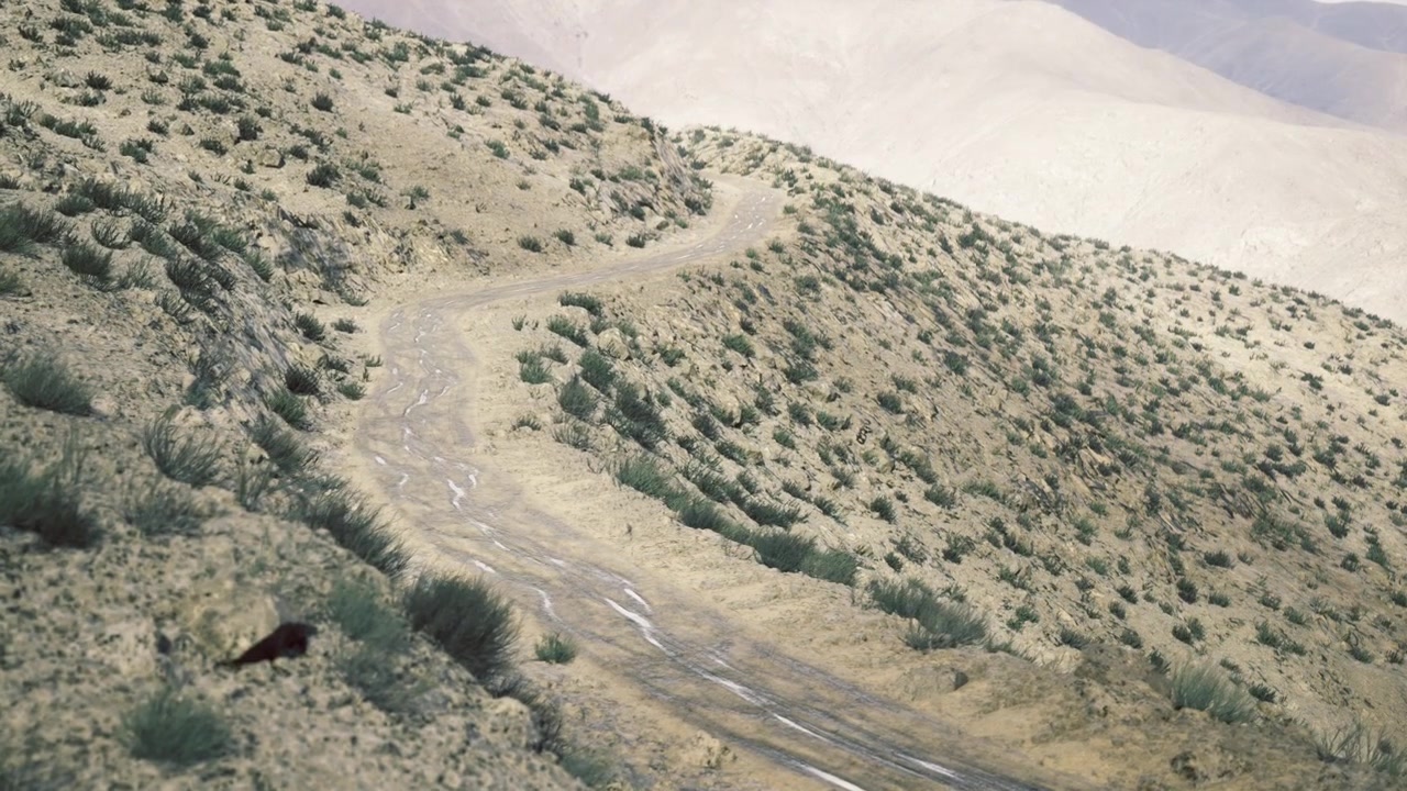 Dry gully traversing hillside with rocky channel and thin vegetation