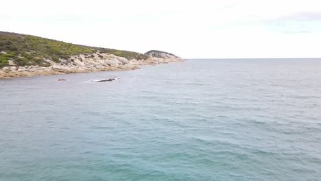 Drone-aerial-moving-forward-over-beautiful-blue-water-and-green-mountains-on-a-sunny-day-in-Wilsons-Promontory