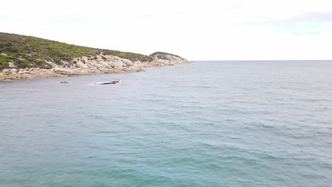 drone aerial moving forward over beautiful blue water and green mountains on a sunny day in wilsons promontory