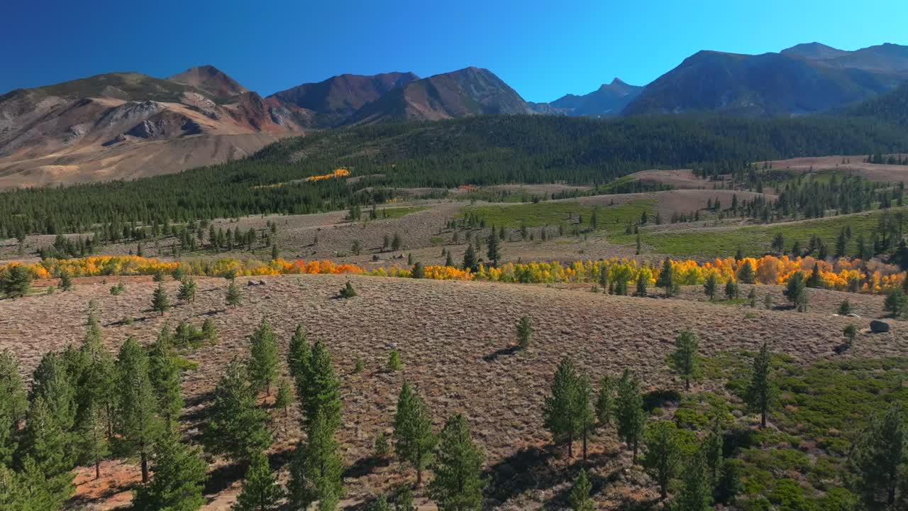 Mammoth Mountain Lakes Ski Area Sierras Nevadas Crowley Lake Mary Convict Canyon Volcom Brother Skatepark aerial drone California summer autumn fall yellow Aspen Trees sunny blue sky backwards pan up