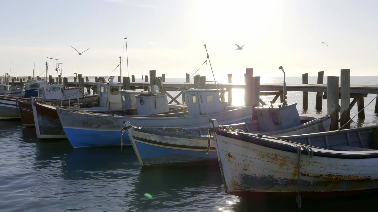 Reihe kleiner, verwitterter Fischerboote, die an einem Holzsteg in einem ruhigen Hafen festgemacht sind, sanftes Sonnenlicht, leichte Wellen, Möwen fliegen über Kopf und rustikale maritime Details in einer friedlichen Uferlandschaft