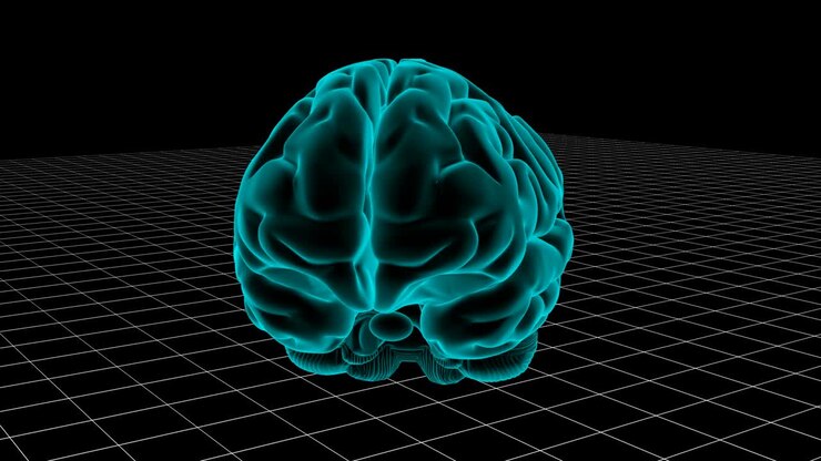 Human brain loop.