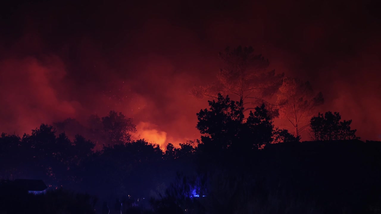 Riprese notturne drammatiche catturano un violento incendio boschivo che inghiotte una fitta foresta portoghese, con fiamme arancioni che illuminano il fumo denso sotto un cielo scuro e le luci dei veicoli antincendio.