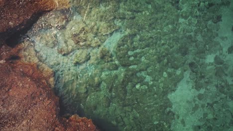 Imágenes-Aéreas-De-Una-Playa-Rocosa-Con-Aguas-Turquesas-Cristalinas-En-Grecia-En-Verano