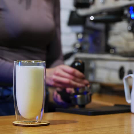 barista working at bar counter in cafe