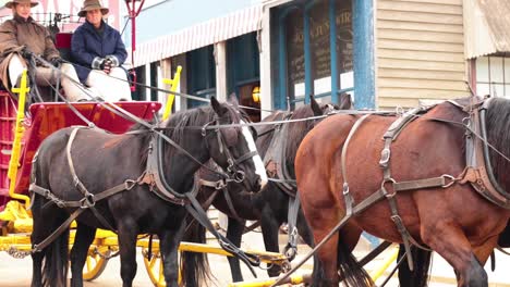 historical carriage ride through sovereign hill, melbourne