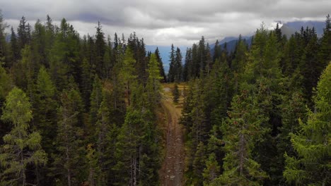 Rough-Road-Surrounded-With-Forest-Of-Tall-Trees-In-Rauris,-Austria