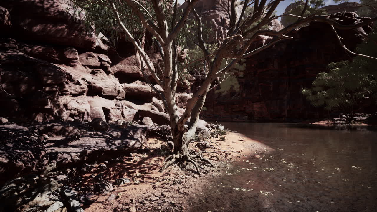 reflejo del gran cañón en el río colorado