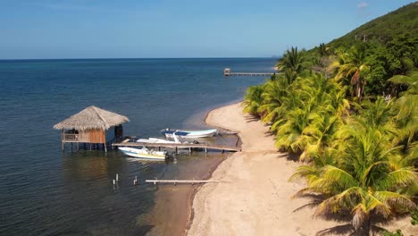 Aerial-view-of-tropical-white-sand-beach-and-turquoise-clear-sea-water-with-small-waves-and-palm-trees-forest