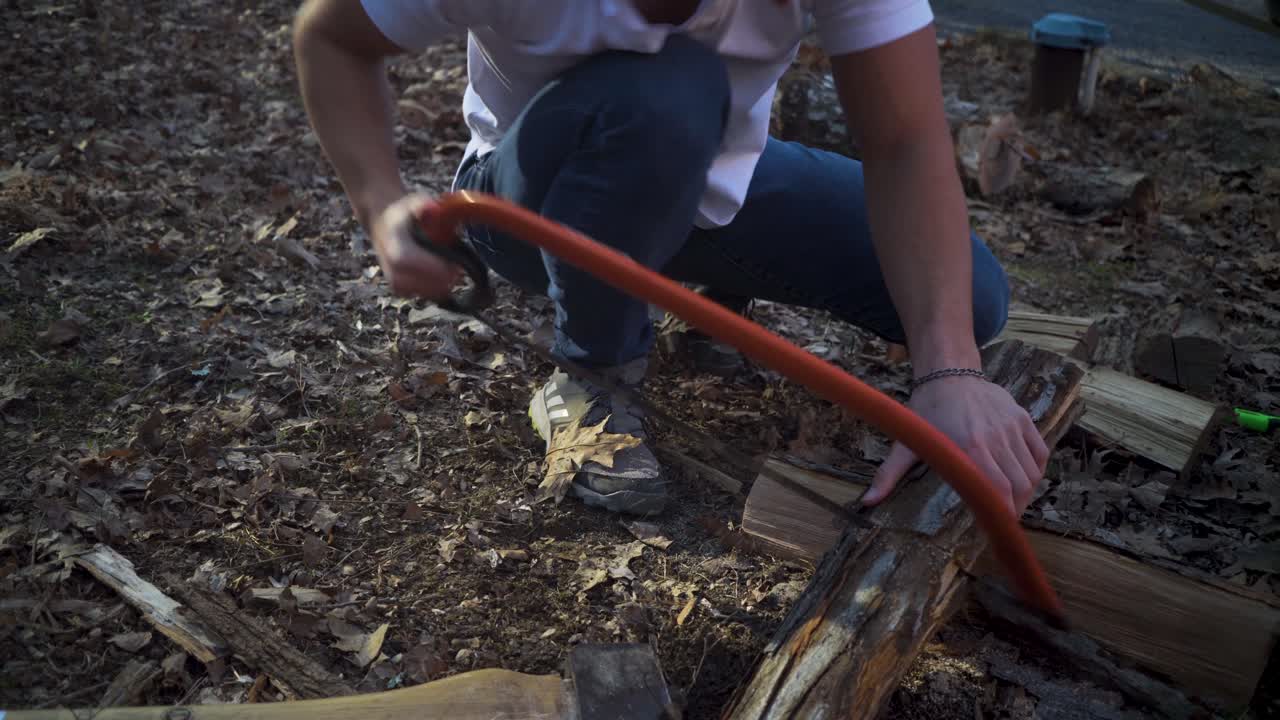 Sawing Firewood with a Bow Saw