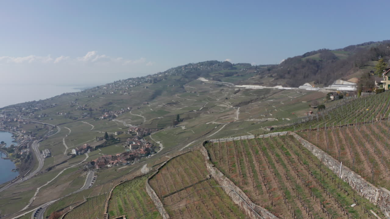 Vista aerea di grandi vigneti su un pendio montano