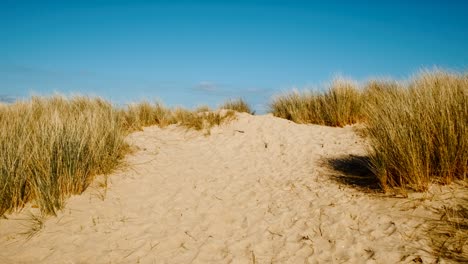 poole beach resort, dorset, england, uk