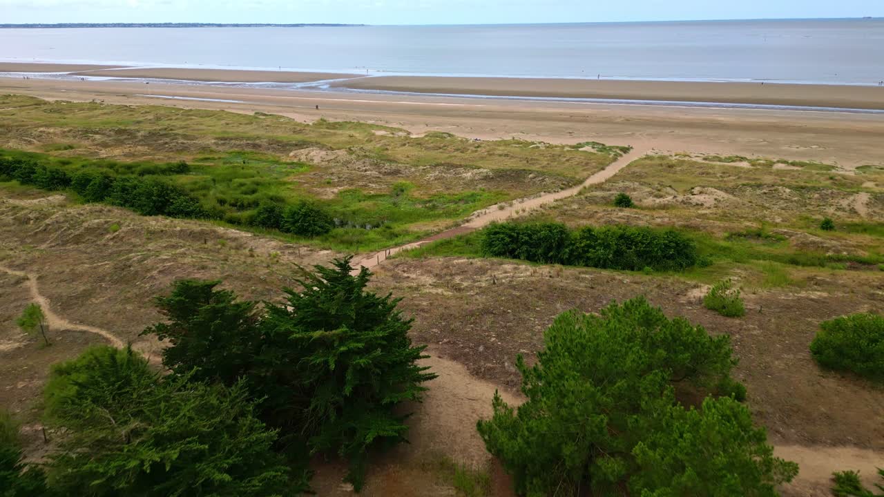 Pine forest bordering sandy dunes and expansive coastline, revealing dramatic landscape convergence near Saint Brevin les Pins with sweeping aerial view capturing natural terrain transition