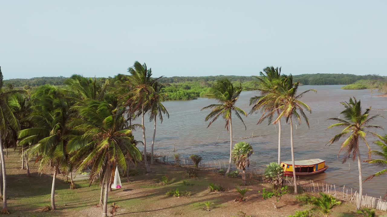 Tropical River Landscape with Palm Trees