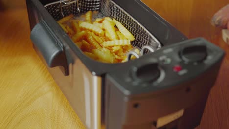 basket of fries cooking in electric deep fryer, tilt up