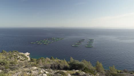 aquaculture round fish cages in the gulf of aegina in greece