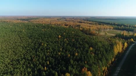 Bunte-Saisonale-Wälder-Im-Herbst-Fallen-Aus-Der-Luft