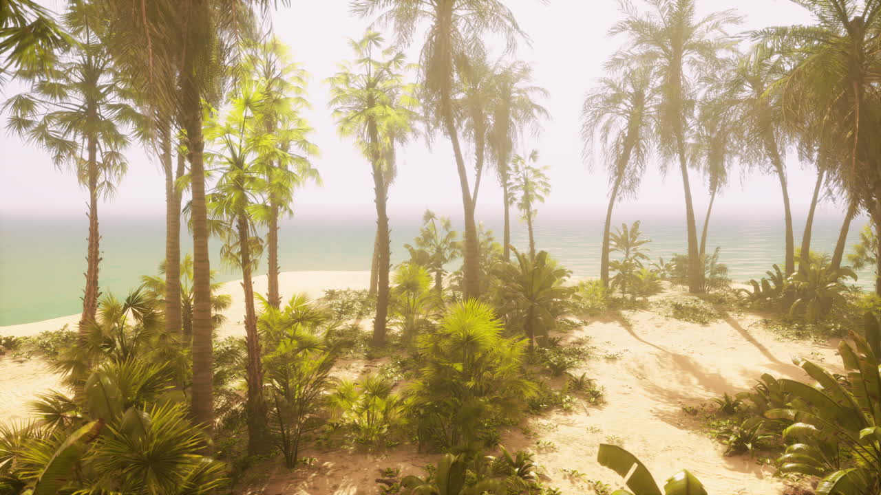 playa tropical con palmeras