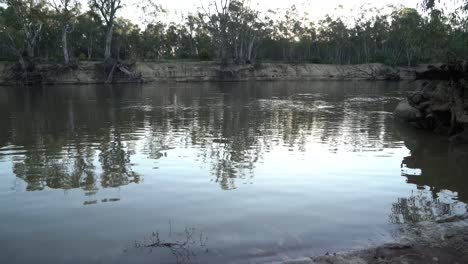 Boat-zooms-past-on-river-Australian-outback-fauna